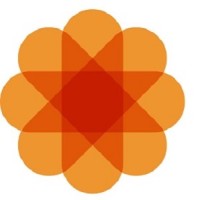 CO.GE.S. dlmve Logo