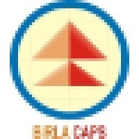 Birla Capital and Financial Services Limited Logo