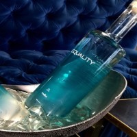 Equality Vodka Logo