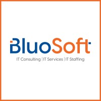 Bluo Software LLC Logo