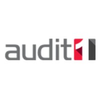 Audit1 Logo