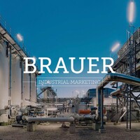 Brauer Industrial Marketing Logo