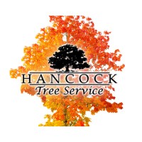Hancock Tree Service Logo
