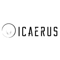 Icaerus Consulting LLC Logo