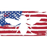 Hives for Heroes® Logo