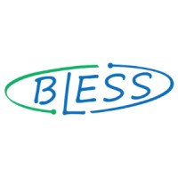 Bless Data&Strategy 博立思數據策略 Logo