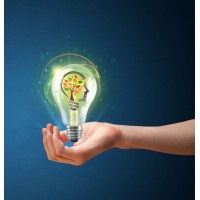 Brain Friendly Training Logo