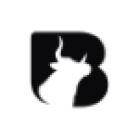 Bull Infotech Logo