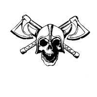 Viking Services, LLC Logo