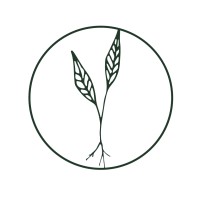 Root, Inc. Logo