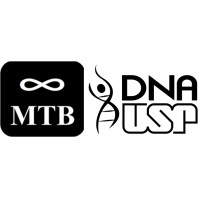 MTB Consultoria Empresarial Logo