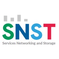 Services Networking and Storage Logo