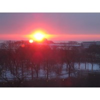 Long World Services for the Living Logo