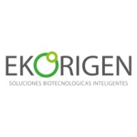 Ekorigen SpA Logo
