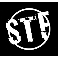 Steal the Focus Logo