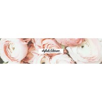 Stylish Advisor Logo