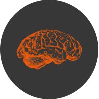 Depaiva Design Studio Logo