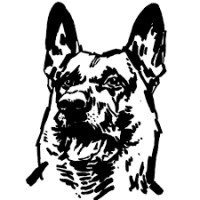 Ziarul de Garda Logo