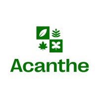 Acanthe Logo