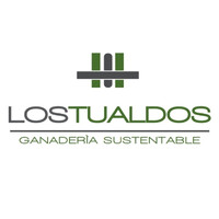 LOS TUALDOS Logo