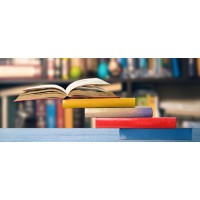 Amesbury Education Consulting LLC Logo