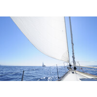 Lancer Wealth Management Ltd - Partner Practice of St. Jamess Place Wealth Management Plc Logo