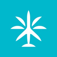 Paradise Jets Logo