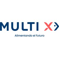 Multi X Logo