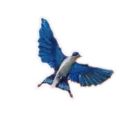 Starnes Books LLC Logo