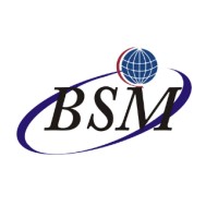 BSM Consultoria Logo