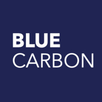 Blue Carbon Logo