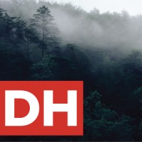 Daniel Hobbs Logo