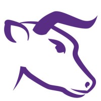 Visibull Logo