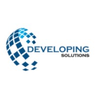 Developing Solutions Logo
