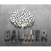 Baumer Representações e Consultoria Ltda. Logo