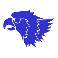 Thompson Falls High School Logo