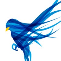 Blue Finch Film Releasing Logo