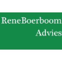 ReneBoerboom Advies Logo