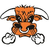 Schulenburg Secondary Logo