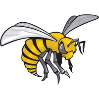 Bullock County High School Logo