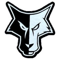 Waverly-South Shore High School Logo