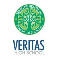 Veritas High School Logo