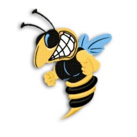 Dallas County High School Logo
