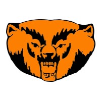 Mccamey High School Logo