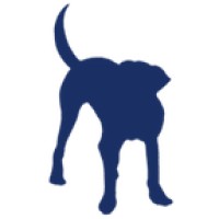 BluHound Solutions, LLC Logo
