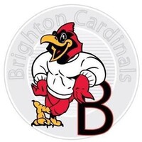 Brighton High School Logo
