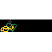 Troy Christian High School Logo