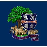 Cosumnes Oaks High School Logo