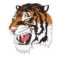 Rock Springs High School Logo