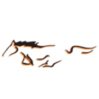 Meadowbrook High School Logo